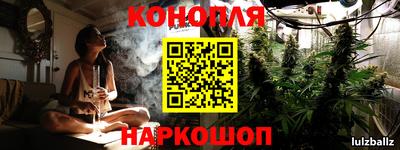 крисы Малгобек