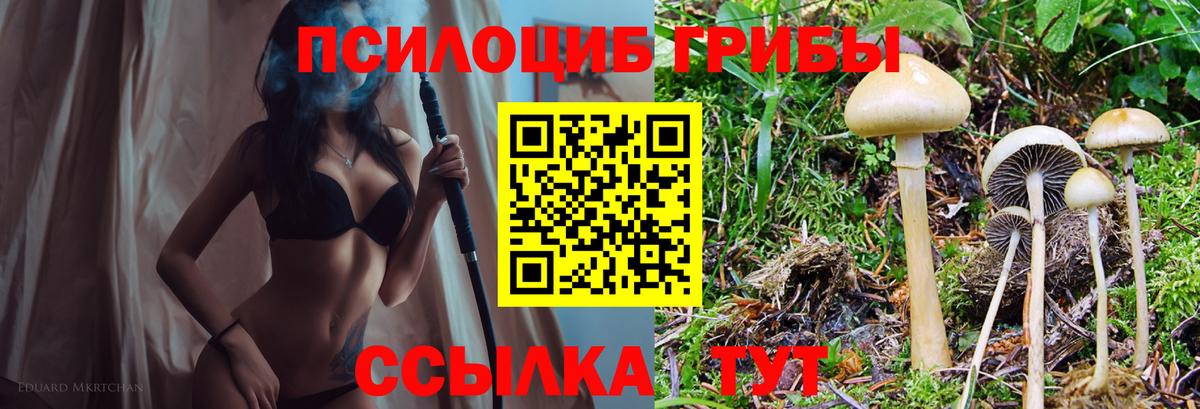 Галлюциногенные грибы Cubensis Тайшет