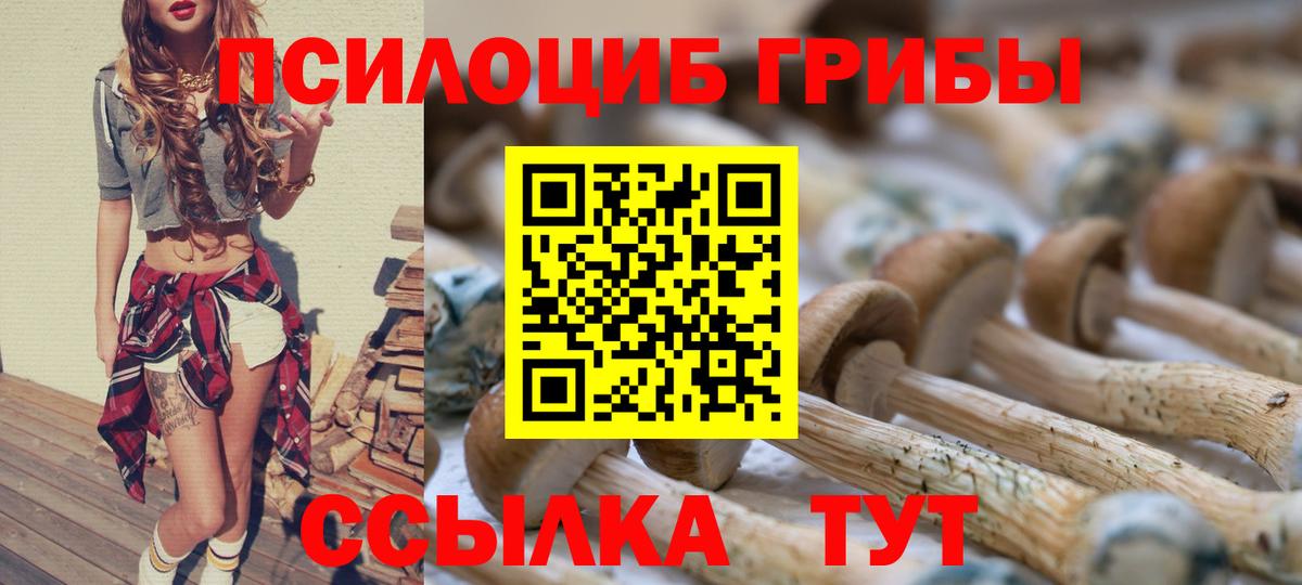 закладка  Галлюциногенные грибы мухоморы  Псилоцибиновые грибы Magic Shrooms  Вход с VPN  Тайшет 